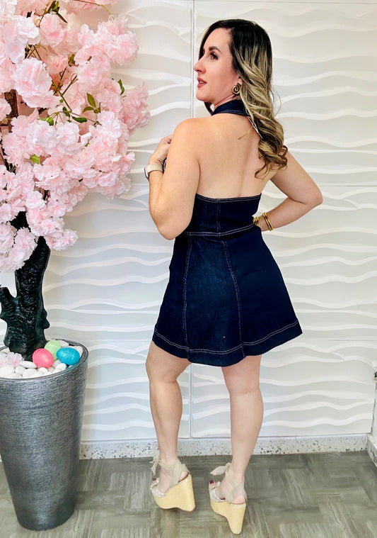 Faviola denim dress